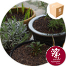 Leca® LWA - Horticultural Grit - 50ltr - 7889